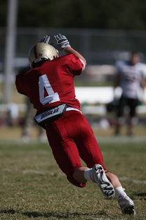 mksports体育-西甲球队利用热区分析调整防守站位,西甲最新用球