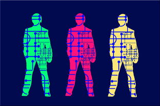 MK手机客户端-高校体育专业人才培养质量保障体系，体育人才培养方案心得体会